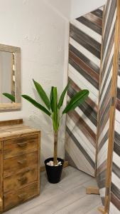 Galeriebild der Unterkunft Cozy Design Flat in the heart of Antalya in Antalya