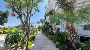 een stoep met palmbomen naast een gebouw bij Midways Guest House and Hotels in Islamabad