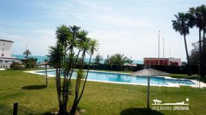 a swimming pool with a palm tree and an umbrella at APARTAMENTO PRIMERA LINEA DE PLAYA, LA BARROSA in Chiclana de la Frontera