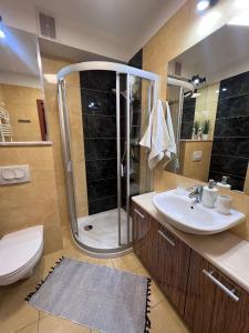 a bathroom with a shower and a sink and a toilet at Apartamenty Na Zdrojowej in Świnoujście