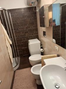 a bathroom with a toilet and a sink and a mirror at Riva del Garda in Riva del Garda