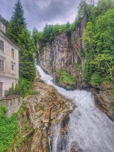 Príroda v okolí apartmánu
