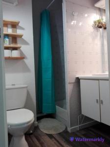 a bathroom with a shower and a toilet and a sink at Appartement T2 hyper centre Luchon in Luchon