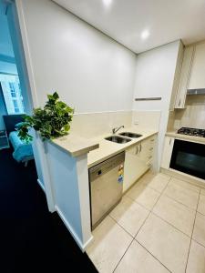 Elegant Splendor 3 bedroom Apartment with Tram Access的厨房或小厨房