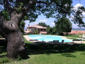 una piscina con 2 sillas y un árbol en Pleasant holiday home in Seggiano with private terrace, en Seggiano