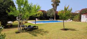 un patio con piscina, 2 sillas y árboles en Casas Lionel en Conil de la Frontera