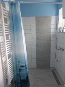 a shower with a shower curtain in a bathroom at Apartman Nikola in Rakovac