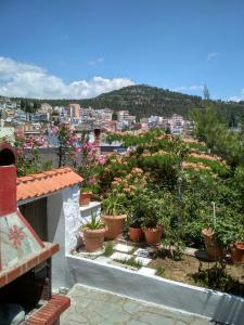uma vista para a cidade a partir de uma varanda com vasos de plantas em Vasilis Garden House em Kavala