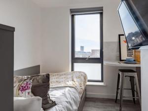 TV a/nebo společenská místnost v ubytování For Students Only Fresh Oldway Centre Swansea