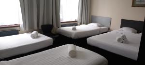 Fotografie z fotogalerie ubytování Hotel Albergo v Bruselu