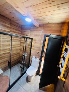 a bathroom with a toilet in a room with wooden walls at Elegant Bungalov in Rize