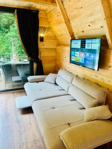 a living room with a couch in a room with a tv at Elegant Bungalov in Rize