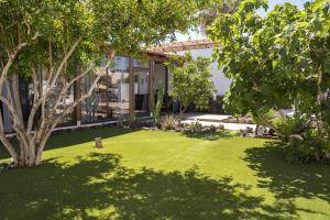 a yard with green grass and trees in front of a house at Villa Sosha - Carpe Mundi in La Oliva