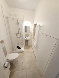 a bathroom with a toilet and a shower and a sink at Hafen Appartements Wismar in Wismar