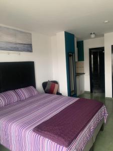 マガルフにあるCoconut Apartments - Adults Onlyのベッドルーム(紫の毛布を使用した大型ベッド1台付)