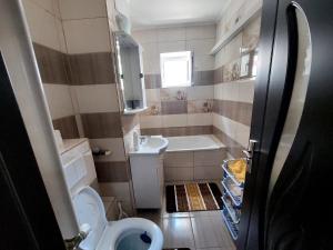 a small bathroom with a toilet and a sink at Apartament Beatrice in Năvodari