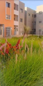een veld van hoog gras met gebouwen op de achtergrond bij Appartement en résidence (shahid,clim,wifi…) in Marrakesh