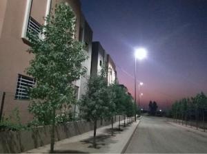 eine Straße mit Bäumen vor einem Gebäude in der Nacht in der Unterkunft Appartement en résidence (shahid,clim,wifi…) in Marrakesch