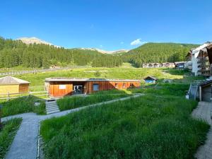 - une vue sur un village avec des maisons et de l'herbe dans l'établissement Centre Orres 1800 - 4/6 pers. Rénové - Parking, aux Orres