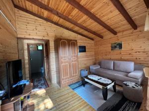 sala de estar con sofá y TV en Bujtina Llogara, Log Cabins, en Vlorë