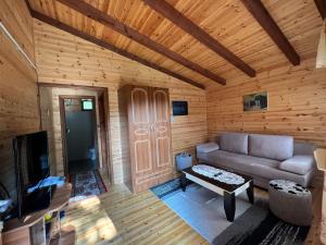 Posezení v ubytování Bujtina Uji I Panjes, Log Cabins