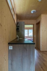 uma cozinha com um lavatório e uma bancada em Bergreich Appartement 3 em Schoppernau