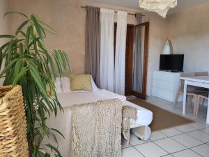 a living room with a bed and a potted plant at Apartments Grgic in Njivice