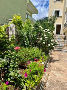 a garden of flowers in front of a building at J&B Rooms Dhermi in Dhërmi