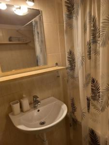 a bathroom with a sink and a shower curtain at Novak Apartment in Budapest