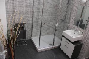 a bathroom with a shower and a sink at Oreg Parokia Guesthause in Meggyeskovácsi