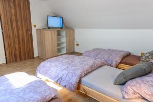 Fotografie z fotogalerie ubytování Ubytování na výminku v destinaci Mikulčice
