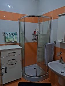 una ducha con puerta de cristal en un baño en Petrovac Studio Apartment Ana, en Petrovac na Moru
