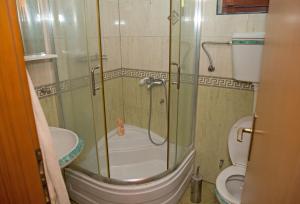 a bathroom with a shower and a toilet at Apartman Sunce in Golubac