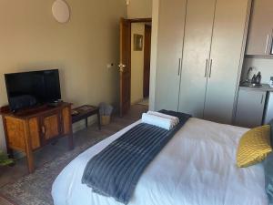 a bedroom with a bed and a tv at Lazydaze Point in Jeffreys Bay