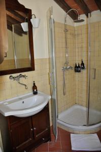 La salle de bains est pourvue d'un lavabo et d'une douche. dans l'établissement VILLA NOTTOLINI, à Vorno