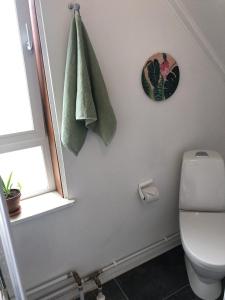 a bathroom with a toilet and a clock on the wall at Retro-Sonnenbring B&B in Sønderborg