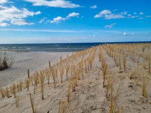 a beach with a field of grass in the sand at Ferienanlage Kieferneck in Freest