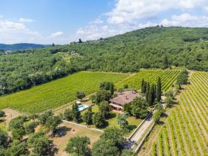 eine Luftansicht auf einen Weinberg mit einem Haus und Bäumen in der Unterkunft Holiday Home Casavecchia by Interhome in Pieve a Presciano