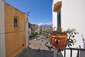 a pot of flowers on a balcony of a building at Palazzo Vaglio in Alliste