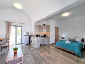 a large room with a bed and a kitchen at Studio Elpida Santorini in Vóthon