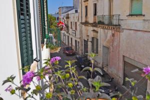 a view from a window of a street with flowers at Palazzo Vaglio in Alliste +96 photos
