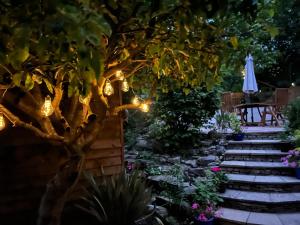 un jardín por la noche con un árbol y luces en Willow Brook en Blandford Forum