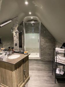 a bathroom with a sink and a shower in it at 't Hartje van Brugge in Bruges