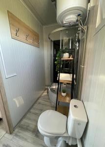 een badkamer met een wit toilet en een wastafel bij Domki letniskowe Bali in Jezierzany