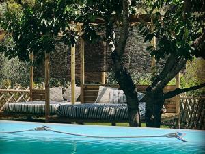 una cama sentada junto a un árbol junto a una piscina en RIVIERA DOLCE VITA en Camporosso