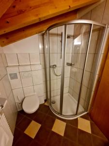 ein Bad mit einer Dusche und einem WC in der Unterkunft Haus Gabriele in Ladis