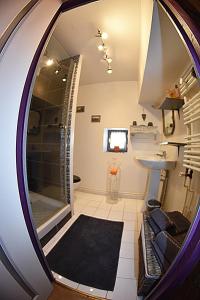 La salle de bains est pourvue d'une douche et d'un miroir. dans l'établissement Les Volets Bleus, à Provins