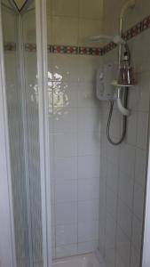 a shower with a glass door in a bathroom at Ger's Lodging in Galway