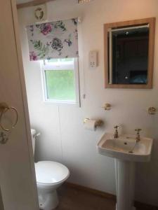 a bathroom with a toilet and a sink and a window at Park gate house farm holidays, Colyton-‘Elizabeth in Colyton