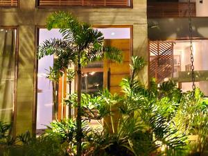 an open door of a house with plants in front of it at Pousada Vila Ipuan in Pauba